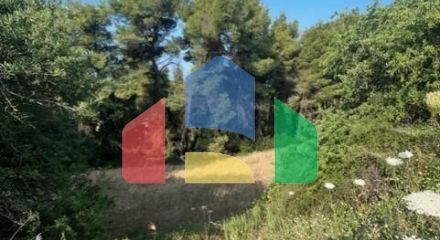 For Sale - Land 13886 m² in Kassandra, Chalkidiki