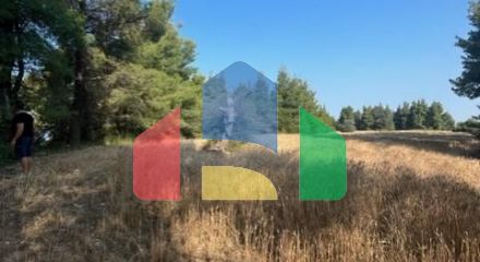 For Sale - Land 13886 m² in Kassandra, Chalkidiki