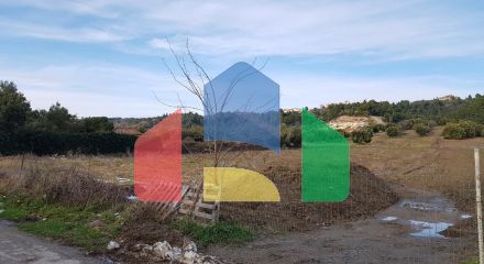 For Sale - Land 4500 m² in Kassandra, Chalkidiki
