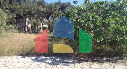 For Sale - Land 4505 m² in Kassandra, Chalkidiki