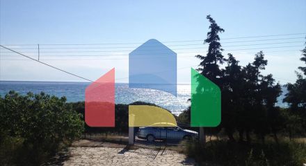 For Sale - Land 4505 m² in Kassandra, Chalkidiki