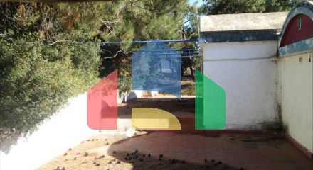 Продаж - Земельна ділянка 4505 m² на Кассандрі (Халкідіки)