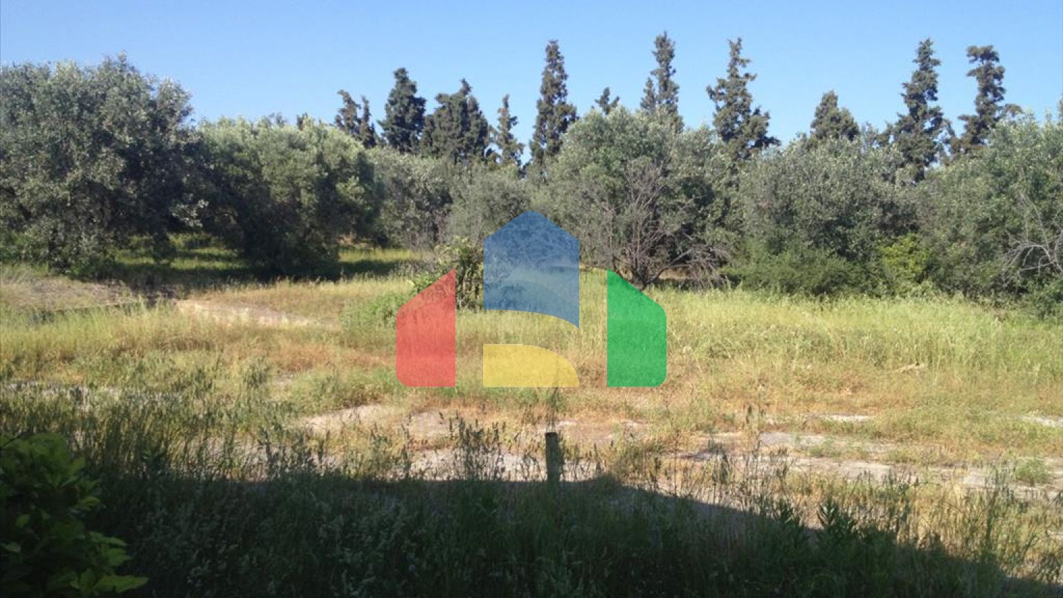 Продаж - Земельна ділянка 4505 m² на Кассандрі (Халкідіки)