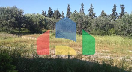 Продаж - Земельна ділянка 4505 m² на Кассандрі (Халкідіки)