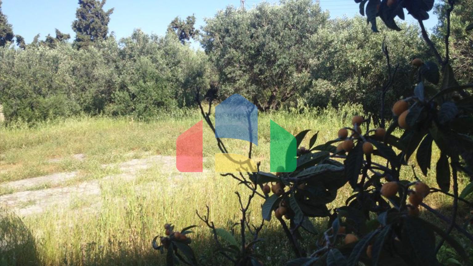 Продаж - Земельна ділянка 4505 m² на Кассандрі (Халкідіки)