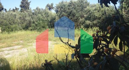 Продаж - Земельна ділянка 4505 m² на Кассандрі (Халкідіки)