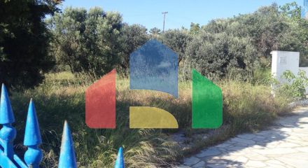 Продаж - Земельна ділянка 4505 m² на Кассандрі (Халкідіки)