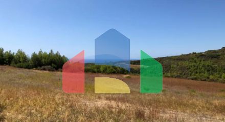 For Sale - Land 22902 m² in Kassandra, Chalkidiki