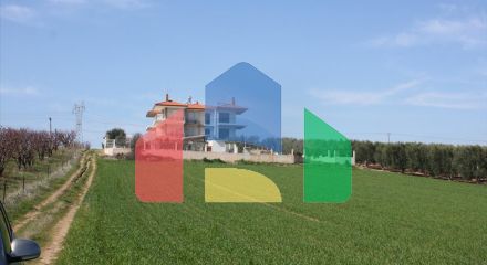 Продажа - Земельный участок 1600 m² на Кассандре (Халкидики)