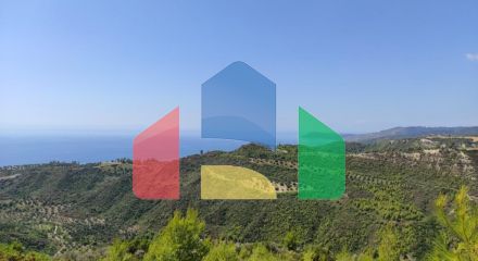 Продажа - Земельный участок 24215 m² на Кассандре (Халкидики)