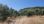 For Sale - Land 4907 m² in Kassandra, Chalkidiki