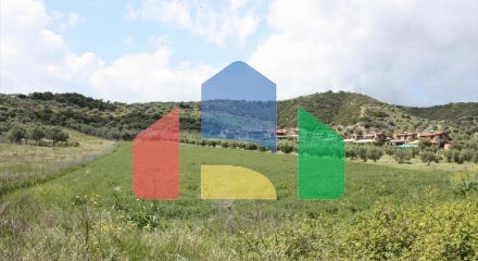 Продажа - Земельный участок 23000 m² на Кассандре (Халкидики)