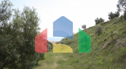 Продажа - Земельный участок 23000 m² на Кассандре (Халкидики)