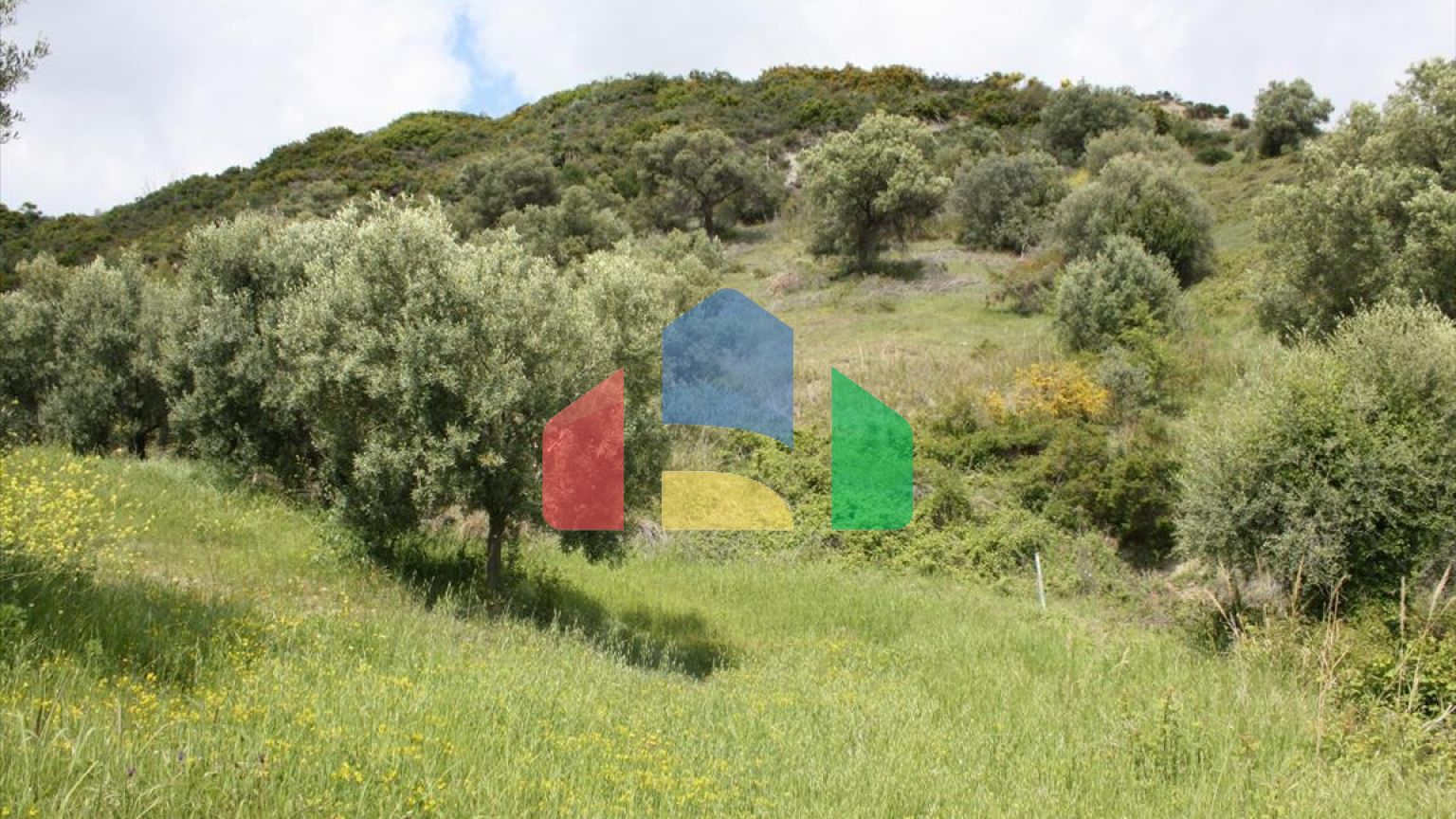 Продажа - Земельный участок 23000 m² на Кассандре (Халкидики)