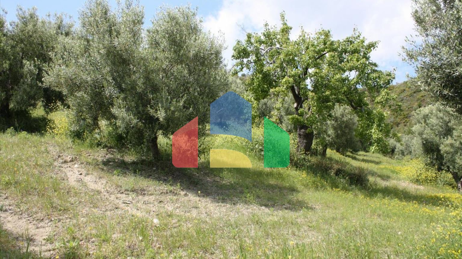 Продажа - Земельный участок 23000 m² на Кассандре (Халкидики)