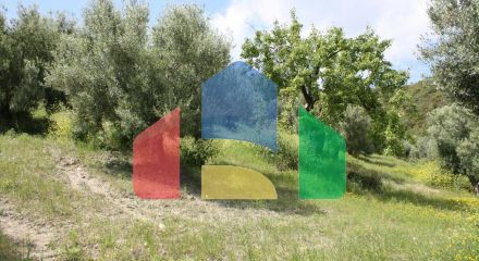 Продажа - Земельный участок 23000 m² на Кассандре (Халкидики) Продажа - Земельный участок 23000 m² на Кассандре (Халкидики)