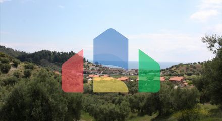 Продажа - Земельный участок 23000 m² на Кассандре (Халкидики) Продажа - Земельный участок 23000 m² на Кассандре (Халкидики)