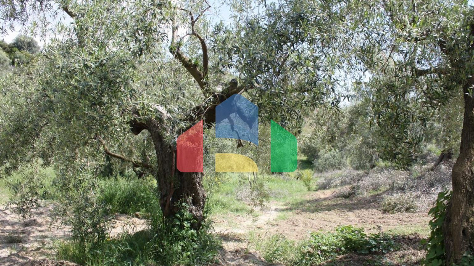 Продажа - Земельный участок 23000 m² на Кассандре (Халкидики)