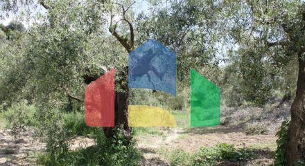 Продажа - Земельный участок 23000 m² на Кассандре (Халкидики) Продажа - Земельный участок 23000 m² на Кассандре (Халкидики)