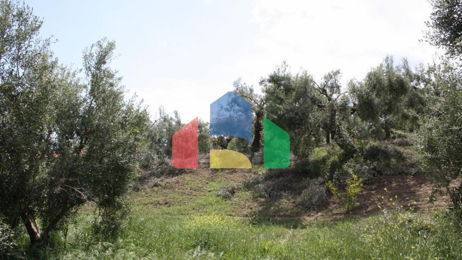 Продажа - Земельный участок 23000 m² на Кассандре (Халкидики)