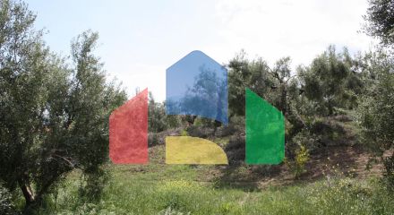 Продажа - Земельный участок 23000 m² на Кассандре (Халкидики) Продажа - Земельный участок 23000 m² на Кассандре (Халкидики)