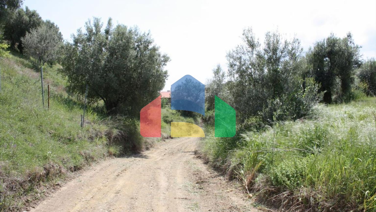 Продажа - Земельный участок 23000 m² на Кассандре (Халкидики)