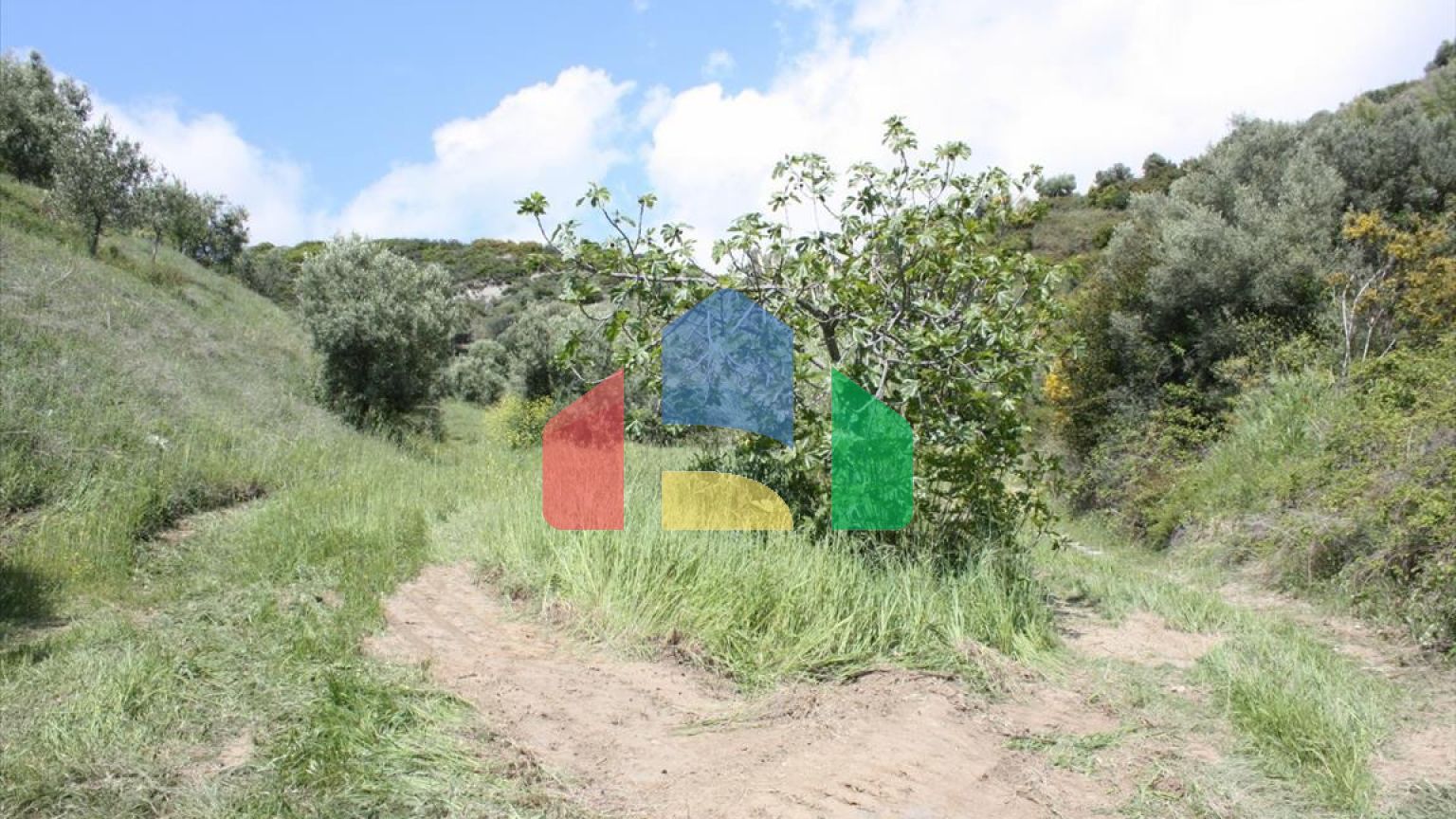 Продажа - Земельный участок 23000 m² на Кассандре (Халкидики)