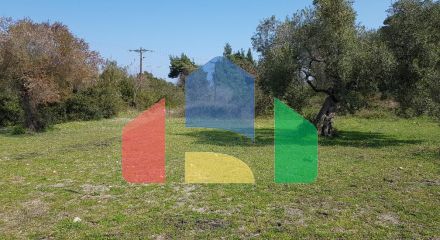 For Sale - Land 4300 m² in Kassandra, Chalkidiki