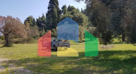 For Sale - Land 4300 m² in Kassandra, Chalkidiki