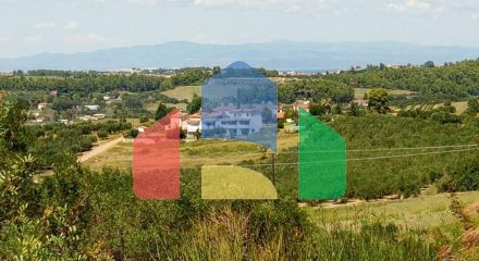Продажа - Земельный участок 8400 m² на Кассандре (Халкидики)