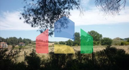 For Sale - Land 4248 m² in Kassandra, Chalkidiki