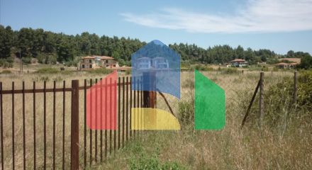 For Sale - Land 4248 m² in Kassandra, Chalkidiki