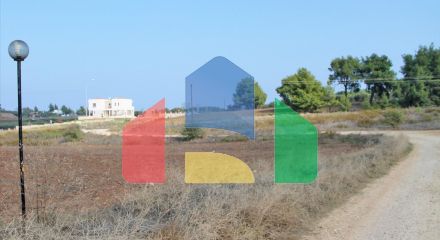 Продажа - Земельный участок 5875 m² на Кассандре (Халкидики)