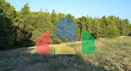 For Sale - Land 5800 m² in Kassandra, Chalkidiki