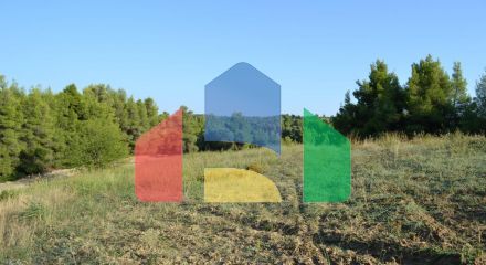 For Sale - Land 5800 m² in Kassandra, Chalkidiki