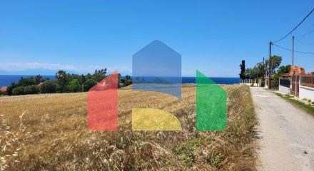 For Sale - Land 4283 m² in Kassandra, Chalkidiki