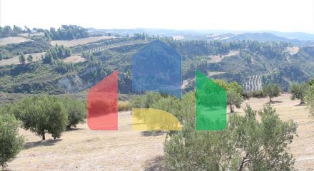 For Sale - Land 10180 m² in Kassandra, Chalkidiki