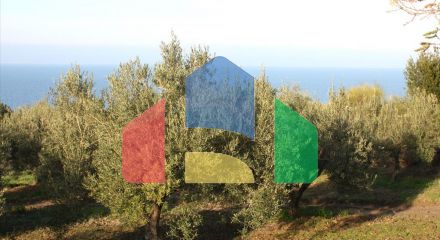 For Sale - Land 20000 m² in Kassandra, Chalkidiki