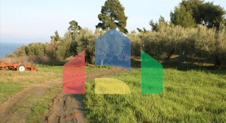 For Sale - Land 20000 m² in Kassandra, Chalkidiki