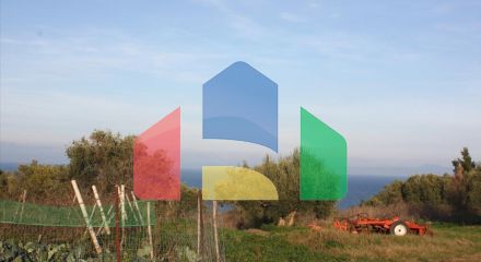 For Sale - Land 20000 m² in Kassandra, Chalkidiki