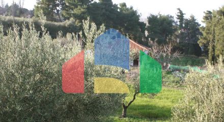For Sale - Land 20000 m² in Kassandra, Chalkidiki