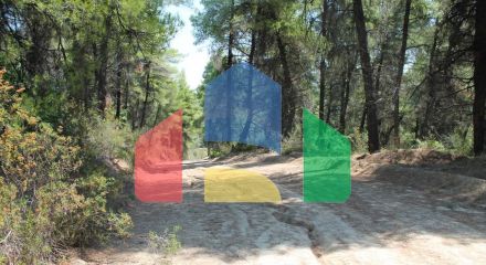 For Sale - Land 13000 m² in Kassandra, Chalkidiki