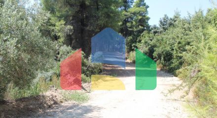 For Sale - Land 13000 m² in Kassandra, Chalkidiki