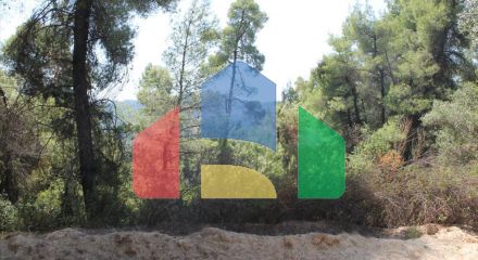For Sale - Land 13000 m² in Kassandra, Chalkidiki