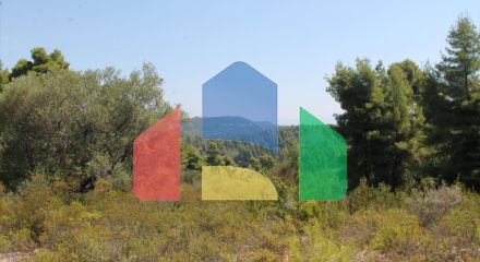 For Sale - Land 13000 m² in Kassandra, Chalkidiki