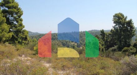 For Sale - Land 13000 m² in Kassandra, Chalkidiki