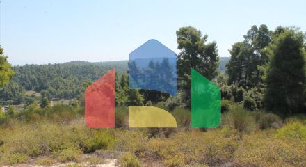 Продаж - Земельна ділянка 13000 m² на Кассандрі (Халкідіки) Продаж - Земельна ділянка 13000 m² на Кассандрі (Халкідіки)