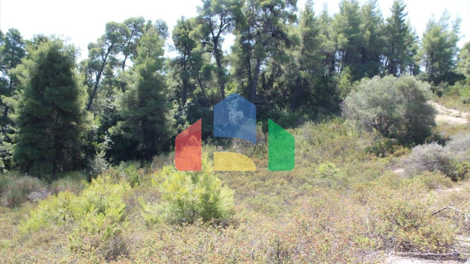 Продаж - Земельна ділянка 13000 m² на Кассандрі (Халкідіки)