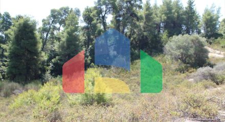 Продаж - Земельна ділянка 13000 m² на Кассандрі (Халкідіки) Продаж - Земельна ділянка 13000 m² на Кассандрі (Халкідіки)