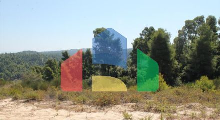 Продаж - Земельна ділянка 13000 m² на Кассандрі (Халкідіки) Продаж - Земельна ділянка 13000 m² на Кассандрі (Халкідіки)